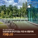 나우목장 | [서귀포대형카페, 제주대형카페] 인공연못과 잔디가 있는 자연 속 대형카페 카페나우