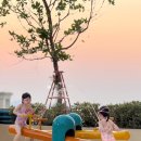 HOOG 후그 수영복 향수 연분홍 스웨터, 향수 핑크 선셋 사이즈 스펙 후기