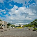 러브랜드미술관 이미지