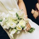 wedding.3ㅣ본식스냅 룸504 계약후기(추천인 구해요!)