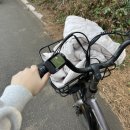 검멀레 | 제주 | 우도 | 우도를 한눈에 "검멀레마을회 보트투어" 후기