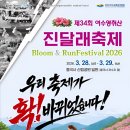 마켓진달래
