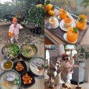 동진농장 | 23개월 아기랑 다녀온 제주여행 3일차(카페더콘테나, 제라헌, 중문시장고기국수, 제주여행선물추천)