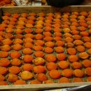 먼당농장 이미지