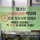 외동채소 이미지