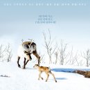 순천 애니멀 필름 페스타 이미지