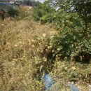 에이스목장 이미지