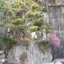 이수교 옆 화장실 이미지