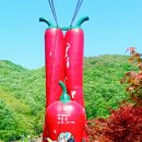 송죽 Daum카페