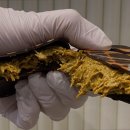 오트스퀘어 이미지