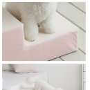 (주)데이지코퍼레이션 이미지