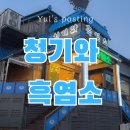 청기와흑염소 | 임신 중 흑염소 먹어도 될까?송도 청기와흑염소 솔직후기