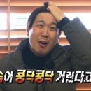 불독복싱 이미지