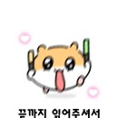 강아지훈련사가 되기위해서는? 반려동물행동교정사 직접 따본 후기