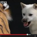 범은농장 이미지