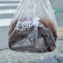 또아식빵 네이버블로그