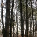 참어울림 이미지