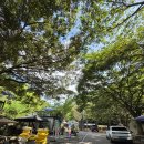 수락폭포 펜션 | 전남 계곡 구례 수락폭포 물놀이 주차 평상 대여