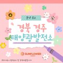 선명태양광발전소 이미지