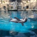 제주기사 | 제주도 승합차 렌트 제주 기사 투어 후기와 요금