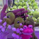 둘리인형뽑기방 이미지