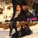 불타는청춘 이미지