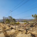 낙수농장 이미지