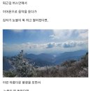 소백산 설경·눈꽃·능선길 이미지