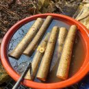 (의)광혜원한방병원 | 가을, 면역이 흔들릴 때... ‘옻’ 의 항암 이야기