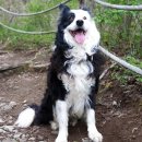 보리펜션 이미지