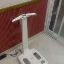 필라루아 이미지