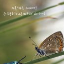 화목사 이미지