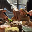 베스트 애견 이미지