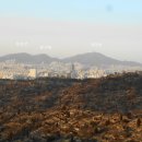 인천가족공원 이미지