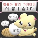 내고5길 이미지