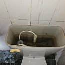 안산 와동 다가구 주택 변기 물탱크 필밸브 앵글밸브 조절용 고압호스 노후로 교체 누수 물샘 해결 이미지