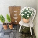 순천 호수공원 1티어 브런치 맛집 [디마브] 조합 추천!