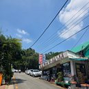 보은장 | 안양유원지 계곡 백숙 맛집 보은장식당 성수기 방문 내돈내산 솔직후기