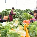 청송체육관 이미지