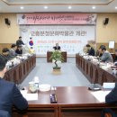 마리안느 이미지