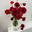 스윗푸릇 | [웨딩촬영(3)] 평택꽃집 느좋 가성비 평택 촬영 부케 ‘푸릇한’