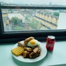 첼시 당구클럽 | 2019 겨울 아이쿠스 유럽프로그램 기숙사 공개