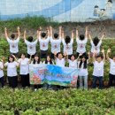 대소원면 행정복지센터 이미지