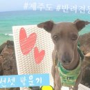 애월더선셋