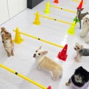 학교종이 댕댕댕 이미지