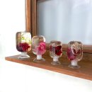 [10/10] 프리저브드 플라워 하바리움 - 원데이 클래스 | 3만원대 30대 여성 취미생활 인테리어소품 프리저브드 하바리움 원데이클래스