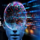 분당아람고등학교 이미지