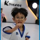 케이타이거즈(KTIGERS) 태권도장 | 계룡태권도 태권도의 새로운 시작 경희대KTIGERS