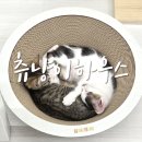 츄냥이 하우스 | 전주시 완산구 고양이카페 츄냥이하우스 다녀온 후기