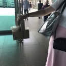 성교목장 | 강릉여행